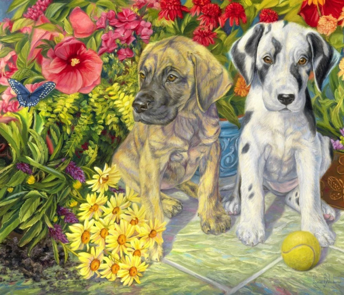 Puzzle - Bluebird - Dvaja nezbedníci