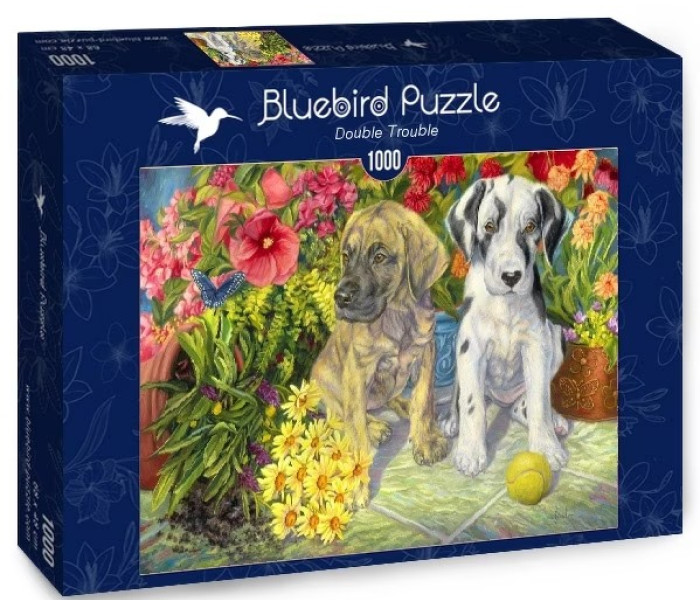 Puzzle - Bluebird - Dvaja nezbedníci