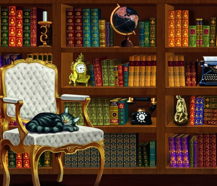 Puzzle - Bluebird - Bibliotecă veche