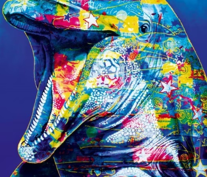 Puzzle - Bluebird - Delfín