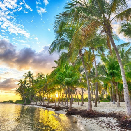 Guadeloupe - pláž Anse Champagne