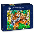 Puzzle - Bluebird - V tieni