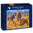 Puzzle - Bluebird - Zvieratá žijúce v savane