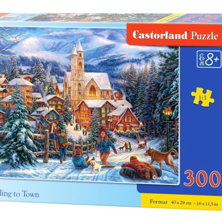 Sánkovanie do mesta