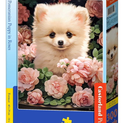Šteniatko Pomeranian v ružiach