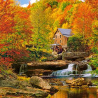 Puzzle - Castorland - Toamnă magică