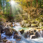 Puzzle - Castorland - Lesný potok