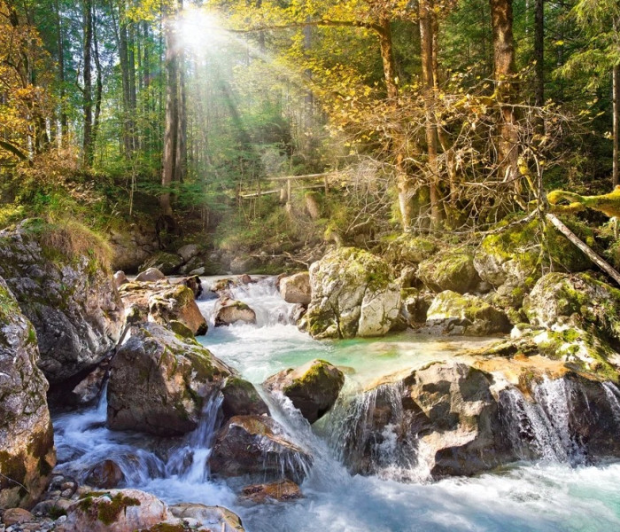 Puzzle - Castorland - Lesný potok