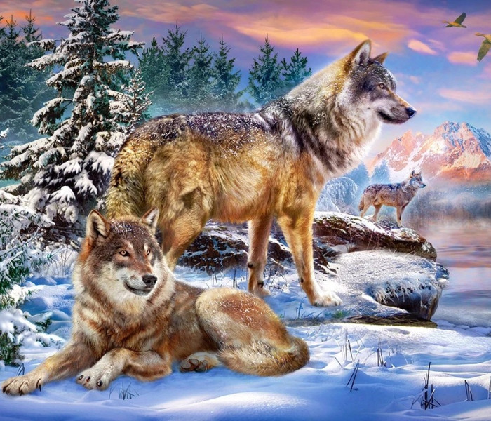 Puzzle - Castorland - Vlčia krajina zázrakov