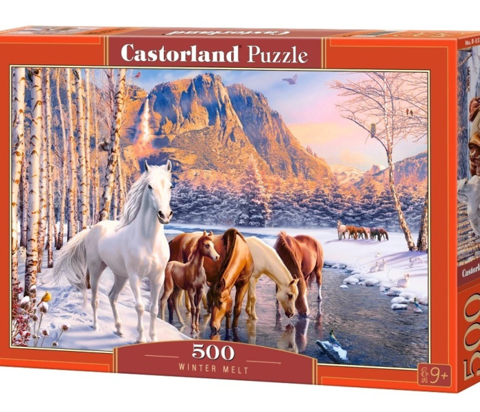 Puzzle - Castorland - Zimné topenie