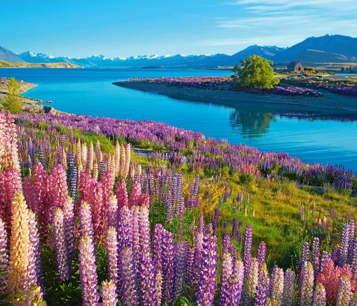 Puzzle - Castorland - Jazero Tekapo, Nový Zéland