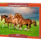 Puzzle - Castorland - Kone v jarnom zhone