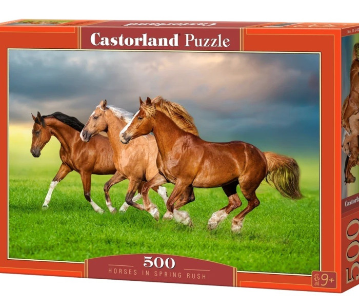 Puzzle - Castorland - Kone v jarnom zhone