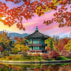 Puzzle - Castorland - Palác Gyeongbokgung, Soul, Južná Kórea