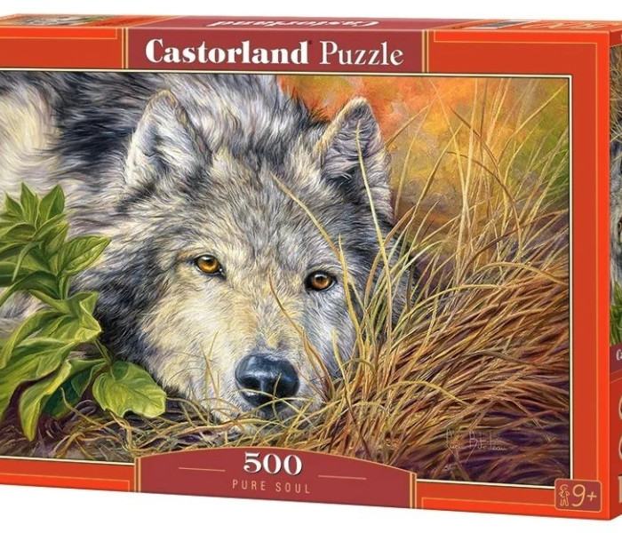 Puzzle - Castorland - Čistá duša