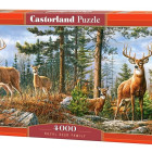 Puzzle - Castorland - Kráľovská rodina jeleňov