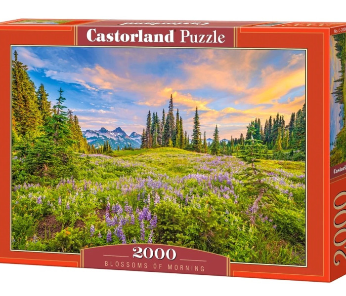 Puzzle - Castorland - Kvety rána