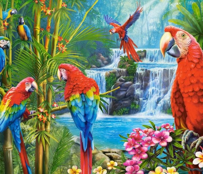 Puzzle - Castorland - Stretnutie s papagájmi