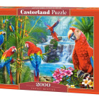 Puzzle - Castorland - Stretnutie s papagájmi