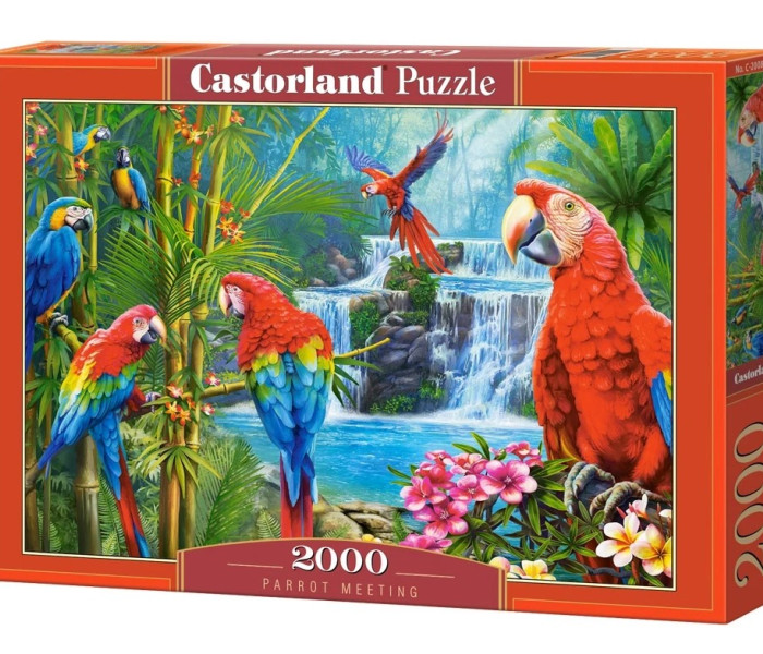 Puzzle - Castorland - Stretnutie s papagájmi