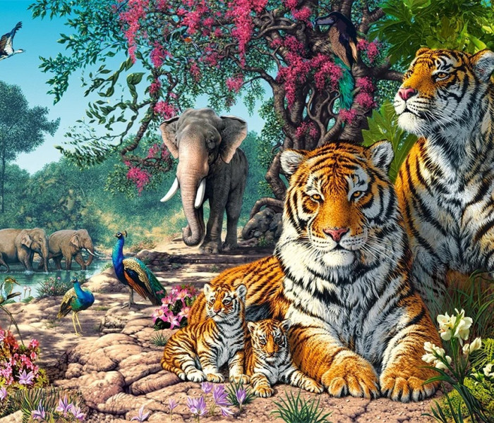 Puzzle - Castorland - Rezervație de tigri