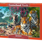 Puzzle - Castorland - Rezervație de tigri