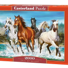 Puzzle - Castorland - Volanie prírody