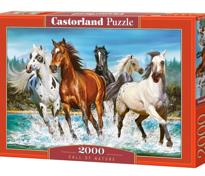 Puzzle - Castorland - Volanie prírody