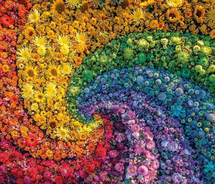 Puzzle - Clementoni - ColorBoom: Vârtej