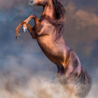 Puzzle - Clementoni - Veľký červený žrebec