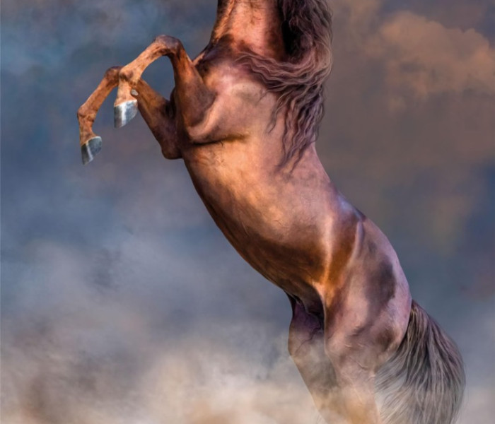 Puzzle - Clementoni - Veľký červený žrebec