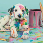 Puzzle - Clementoni - Zabawny dalmatyńczyk