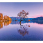 Puzzle - Clementoni - Lago Wanaka, Nuova Zelanda - Puzzle Panoramico