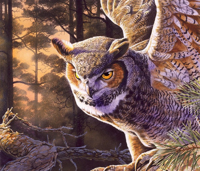 Puzzle - Cobble Hill - Večerný lovec