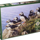 Puzzle - Cobble Hill - Jasný deň