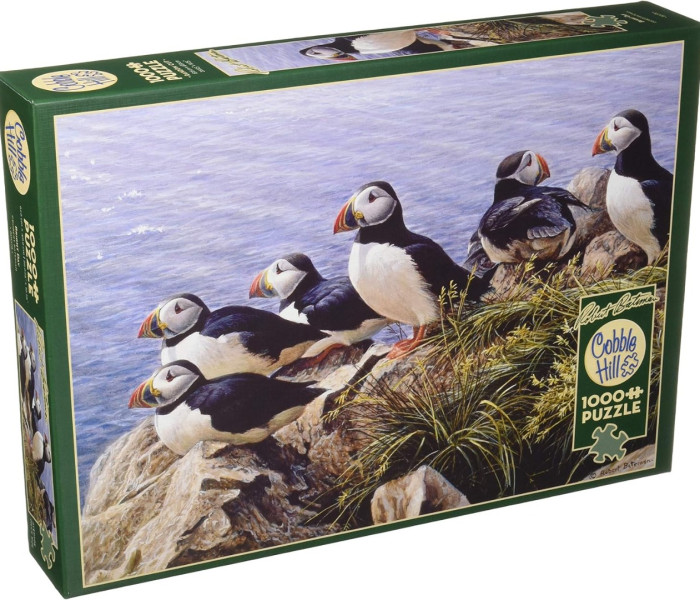 Puzzle - Cobble Hill - Jasný deň