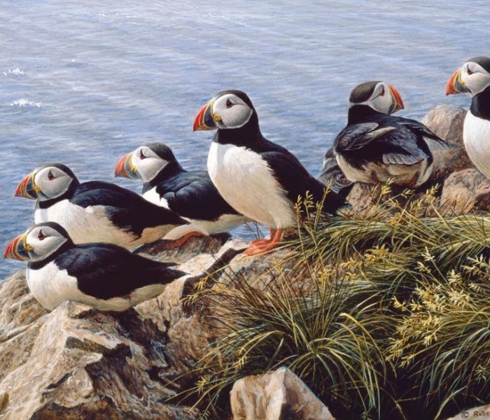 Puzzle - Cobble Hill - Jasný deň