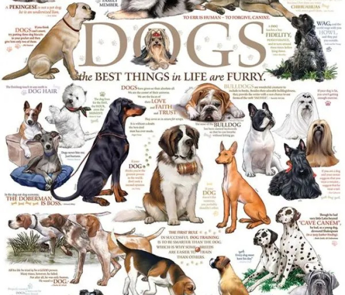 Puzzle - Cobble Hill - Psí hlášky