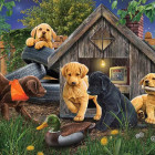 Puzzle - Cobble Hill - U psej búdy