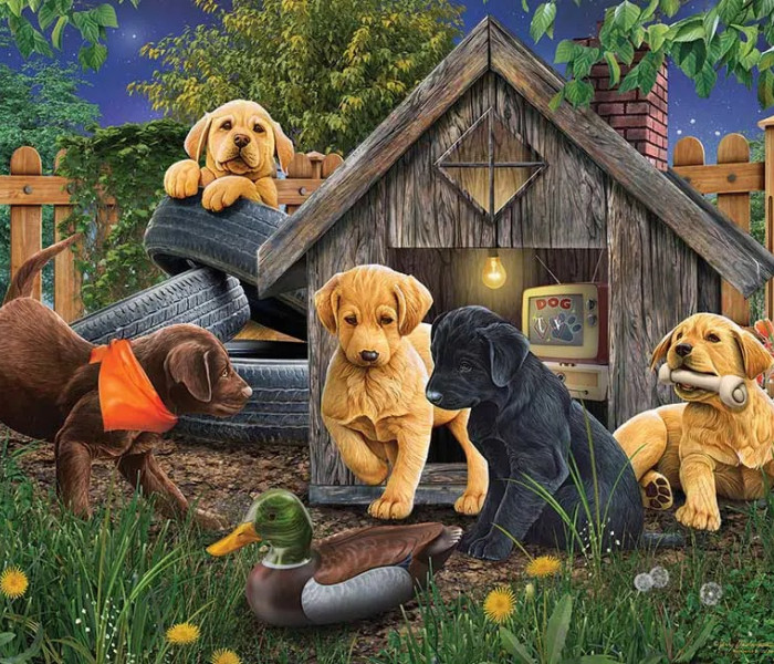 Puzzle - Cobble Hill - U psej búdy