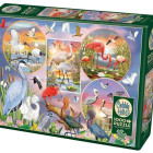 Puzzle - Cobble Hill - Očarujúce vodné vtáky