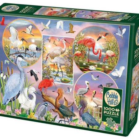 Očarujúce vodné vtáky