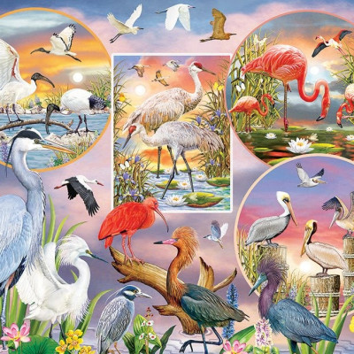 Očarujúce vodné vtáky