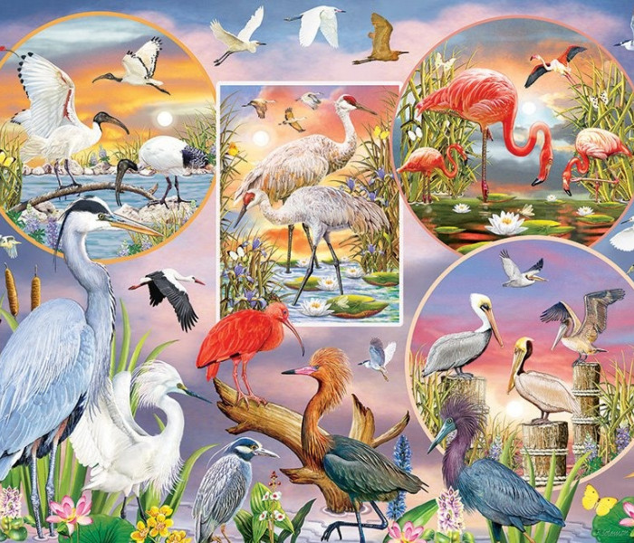 Puzzle - Cobble Hill - Očarujúce vodné vtáky
