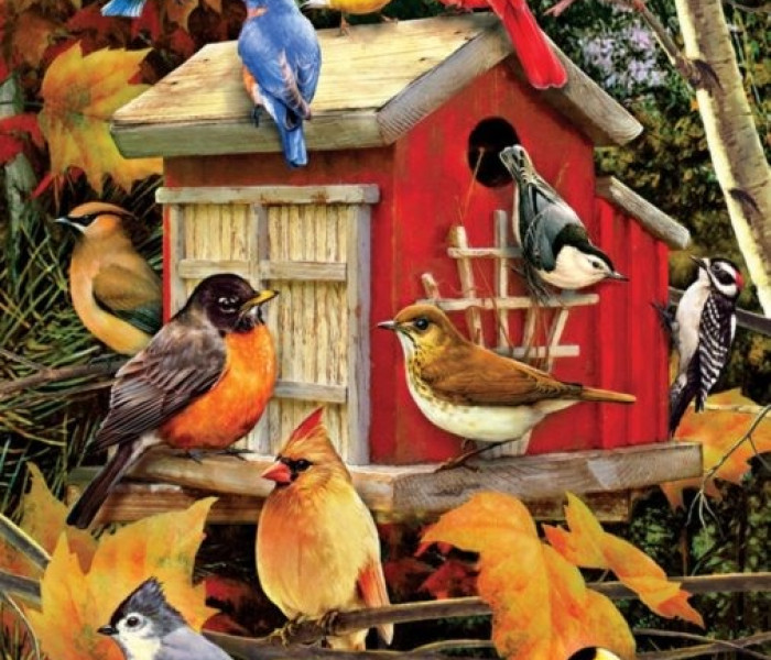 Puzzle - Cobble Hill - Vtáčia búdka na jeseň