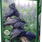 Puzzle - Cobble Hill - Shledání havranů