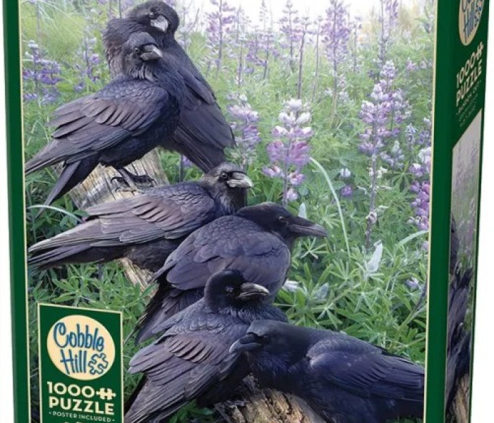 Puzzle - Cobble Hill - Shledání havranů