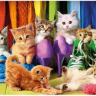 Puzzle - Dino - Pisicuțe colorate