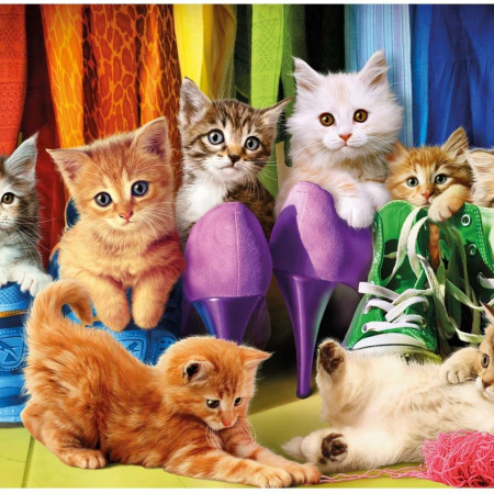 Farebné Mačiatka