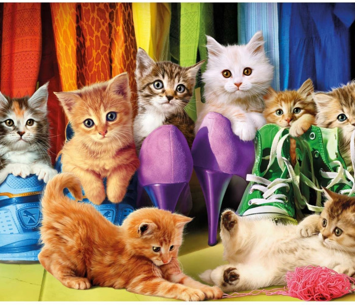 Puzzle - Dino - Pisicuțe colorate